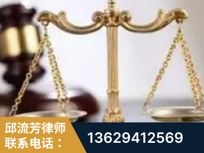 眉山-委托诉讼代理人出庭